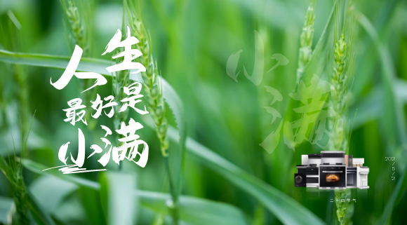 十大品牌科恩集成灶：廚房亦需“小滿”！